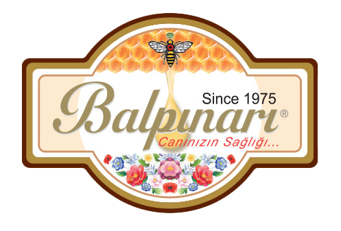 WhatsApp Gorsel 2025 10 29 saat 14.48.44_934b134b 1